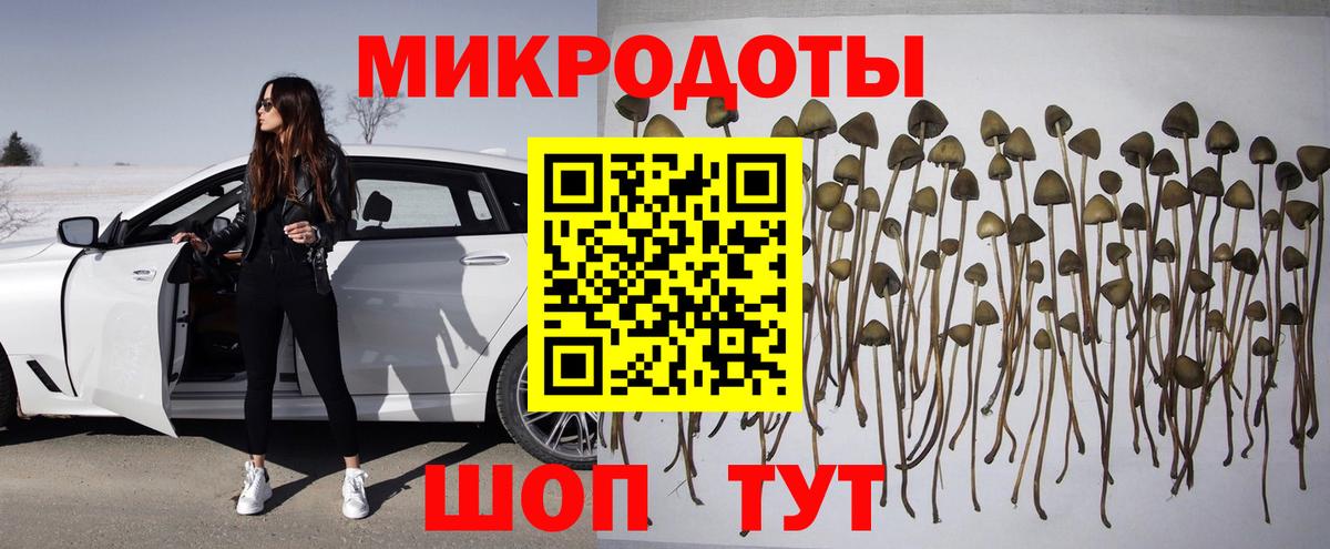 Барабинск  Псилоцибиновые грибы мицелий  Вход с VPN 
