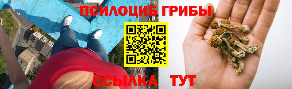 Псилоцибиновые грибы ЛСД Барабинск
